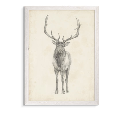 " Elk Study " by Paul Cezanne