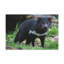 Wall Art on Canvas-291418941