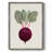 Organic Veg IX Framed Print - Solid Wood-879704193