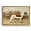 Pointer - Cadre photo, reproduction d'art sur toile-111873020-111873022