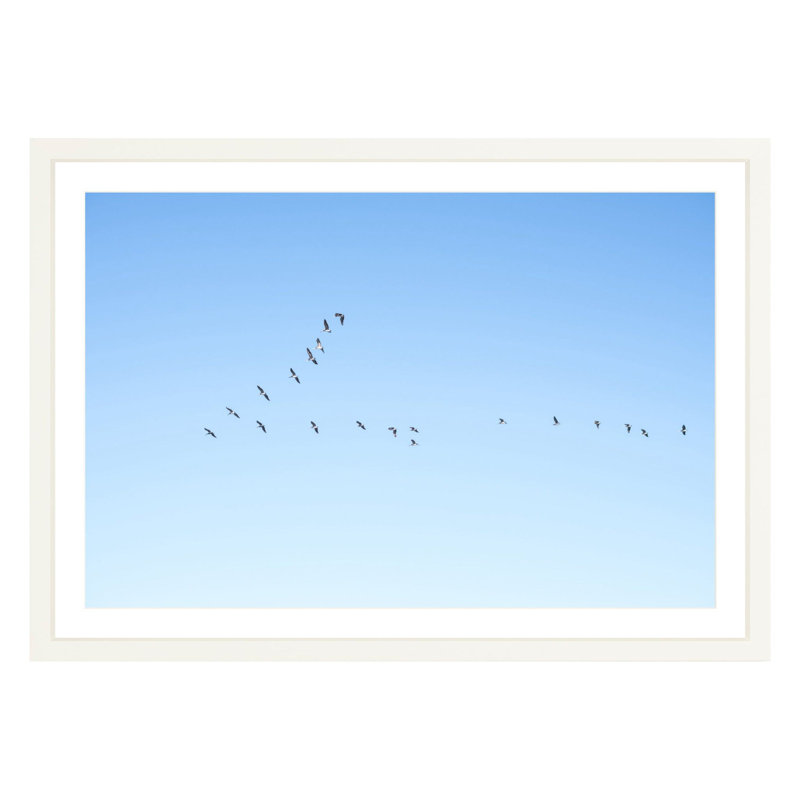 Flying V by Amanda Anderson, White, 24" H x 36" W x 1.88" D