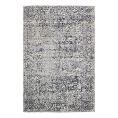 Lanett Oriental Blue/Gray Area Rug