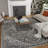 Ragheb Oriental Indoor Rug-670074629