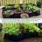Fabric Raised Garden Bed 6x3x1ft Garden Grow Bed Bags For Growing Herbs, Flowers And Vegetables 128 Gallon