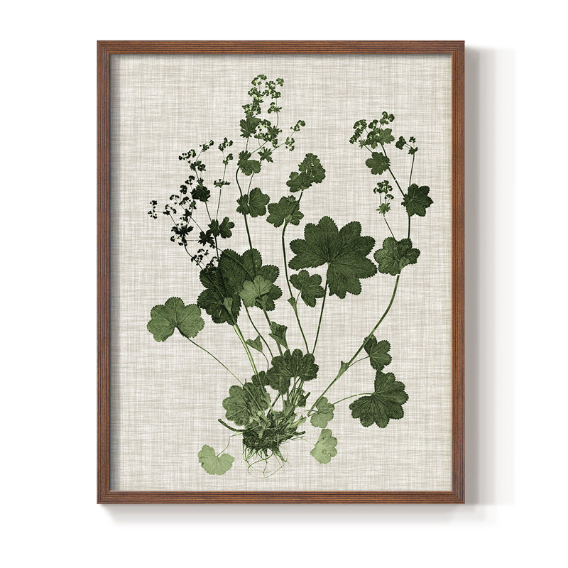 «Forest Foliage on Linen III», reproduction encadrée - bois massif, Brun, H 14 po x l 11 po