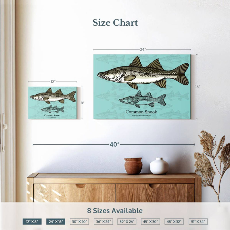 Brampt Common Snook, 16" H x 24" W