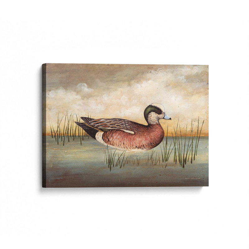 «American Wigeon» par David Carter Brown, reproduction d'art, L 40 x H 30, Ne s’applique pas, Toile non encadrée