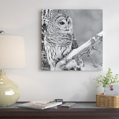 White Owl par PhotoINC Studio - Toile tendue avec châssis