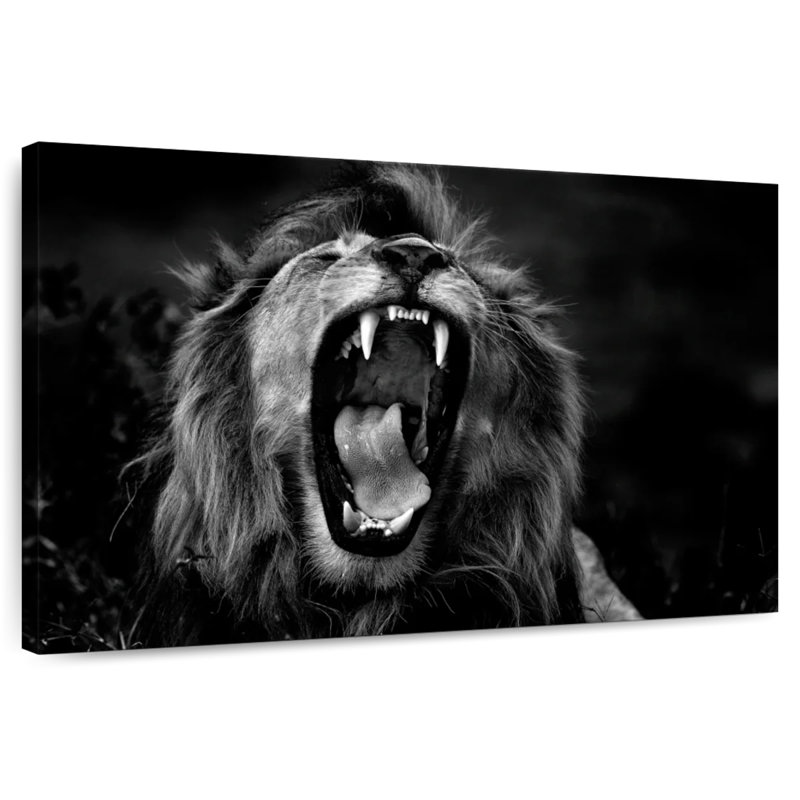 Wild Untitled I, 32" H x 48" W