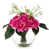 Fuchsia est en rupture de stock