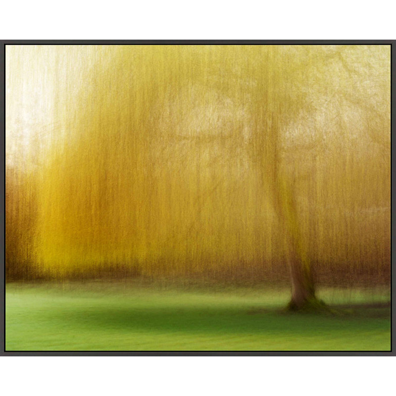 Spring Lingerie by Laura Zimmerman - Framed Wall Art, Black Framed Canvas, 30" H x 38" W
