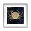 «Crab Contour over Map», reproduction encadrée sous verre, conception de Sasha-1795570145-1795570147
