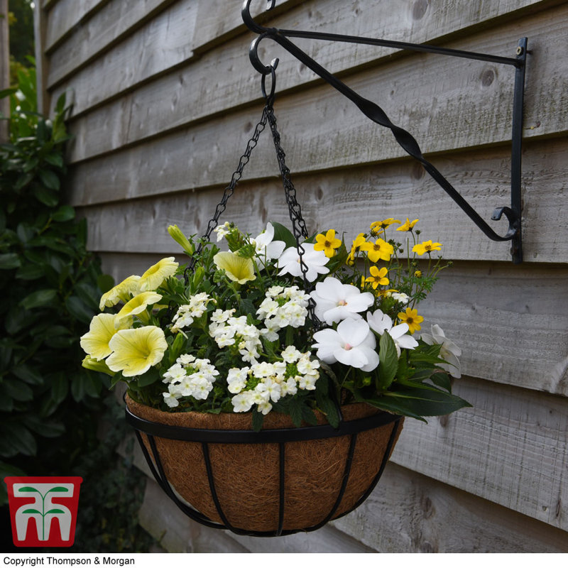 Dubenky Hanging Basket Planter with Liner (x4), 2