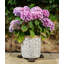 Jovie Weather Resistant Planter Feet
