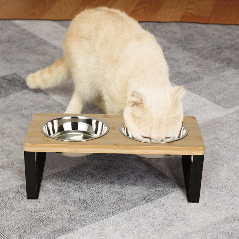 Elevated Feeder