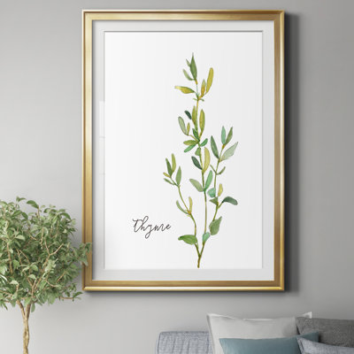 Thym frais - reproduction d'art sur papier encadré