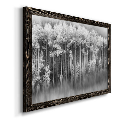 Dreamy Aspen - Photographie sur toile avec cadre photo