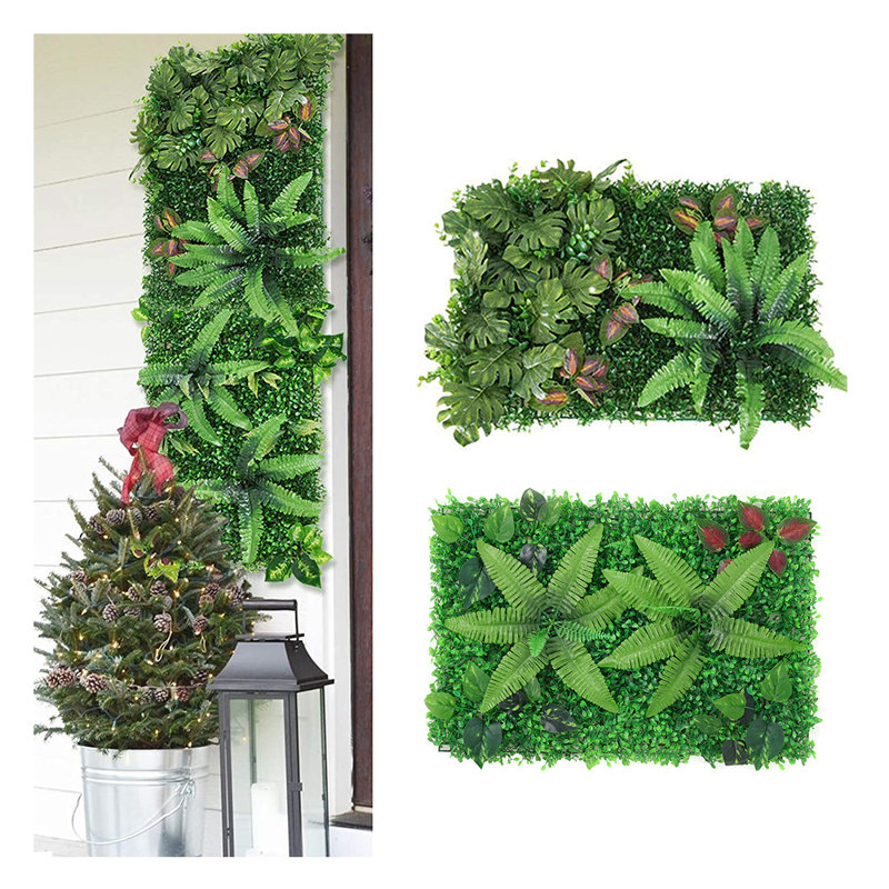 60cm Plant