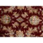 Walton Oriental Area Rug