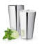 Boîtes en acier inoxydable Advance Boston Shaker