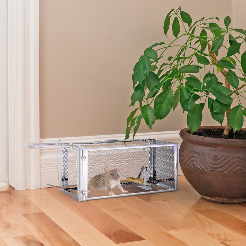 Cage à rat à une porte Humane pour l'intérieur et l'extérieur