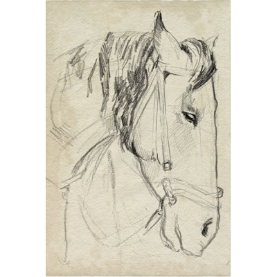 Croquis de cheval en bride I