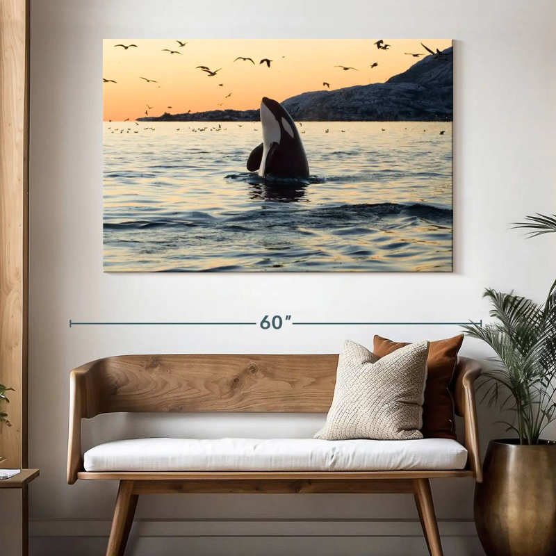 Baleine espion espion, H 34 po x l 51 po