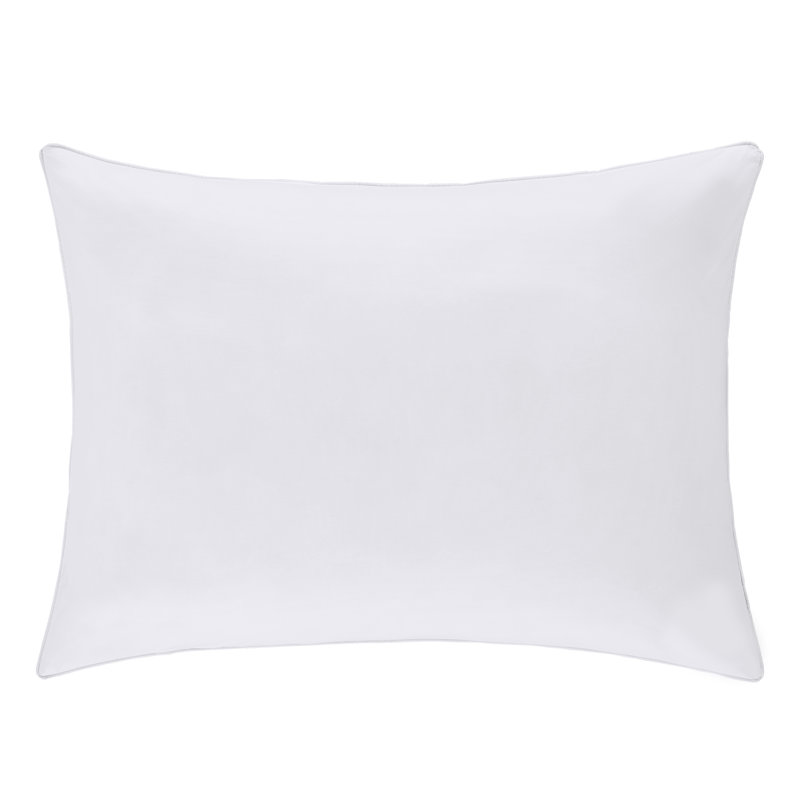 White Hypoallergenic Oversized Euro Pillow Pair