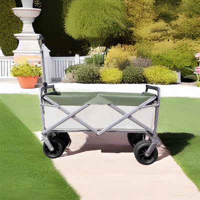 Food & Drink Server