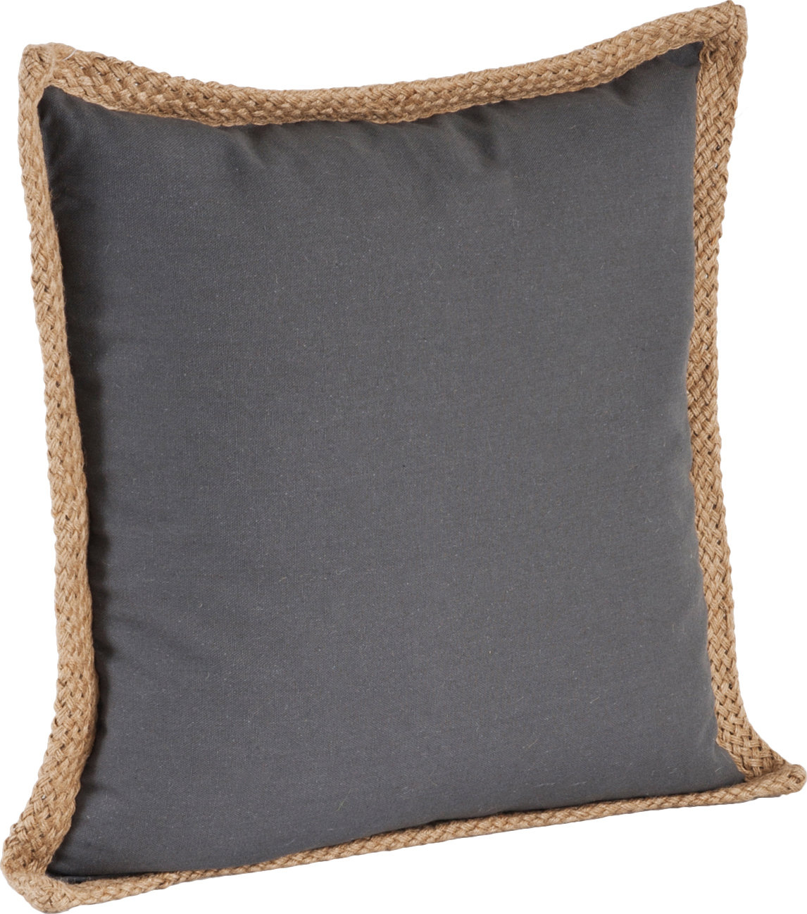 Camelia 20" x 20" Cotton Throw Pillow, Slate