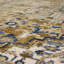 Tapis oriental jaune / bleu-61240460