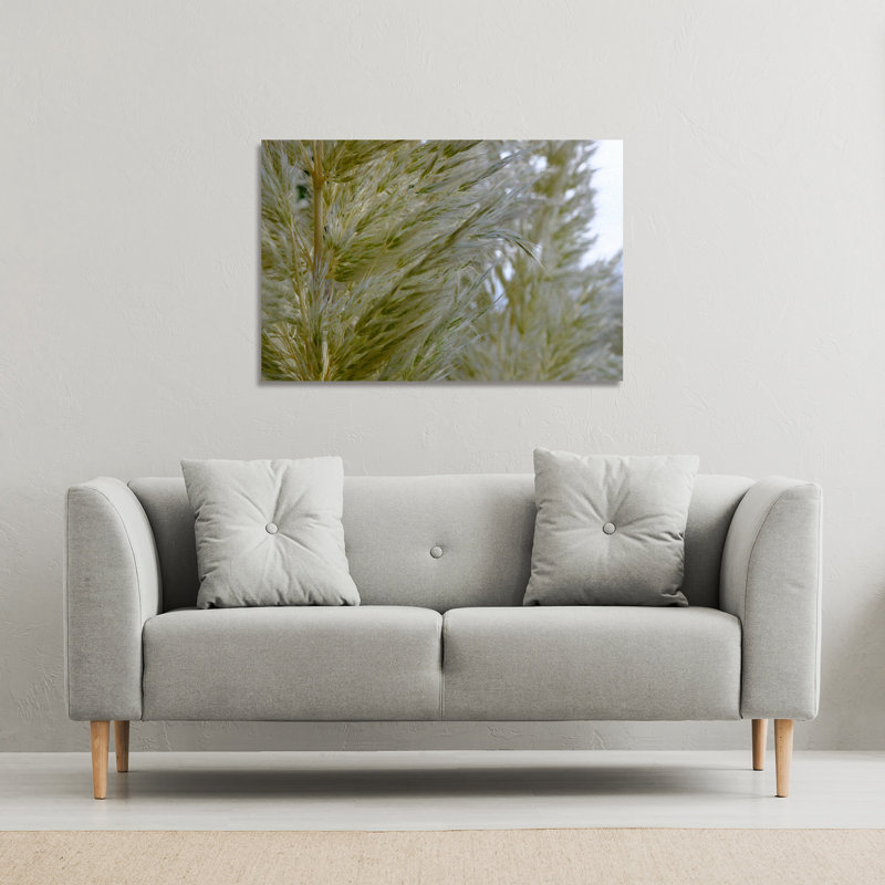 No Title by Andrew Lee - Wrapped Canvas Print, 31cm H x 46cm W x 4cm D