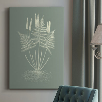 " Ferns On Sage VII "