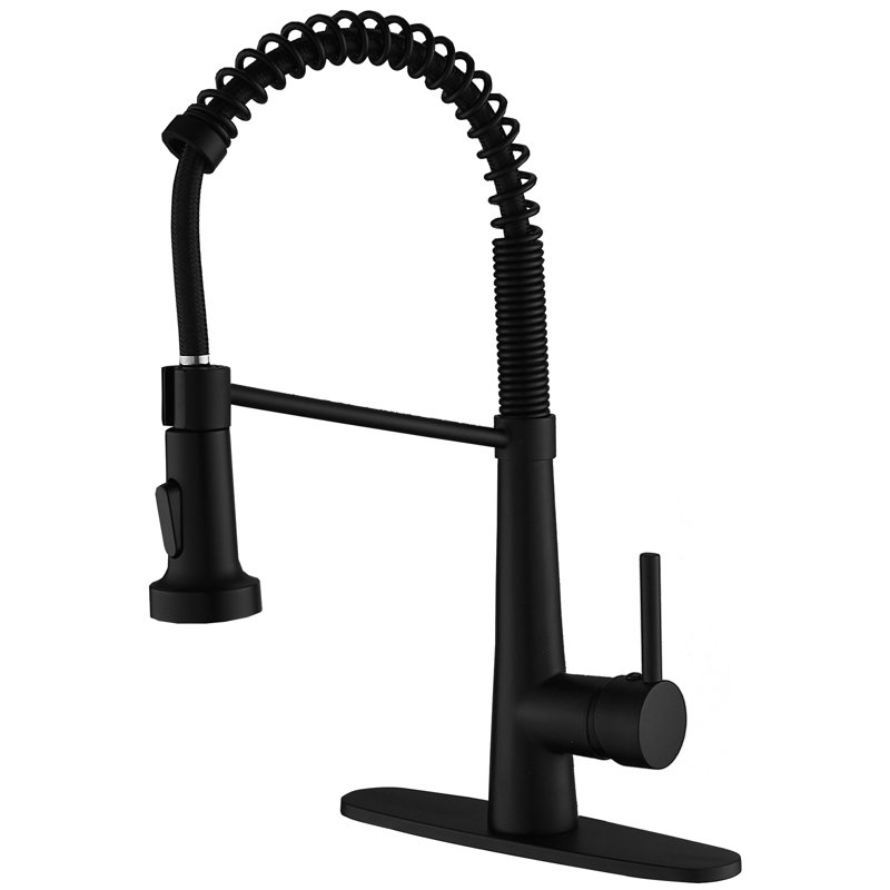 Robinet de cuisine rétractable à poignée simple avec accessoires