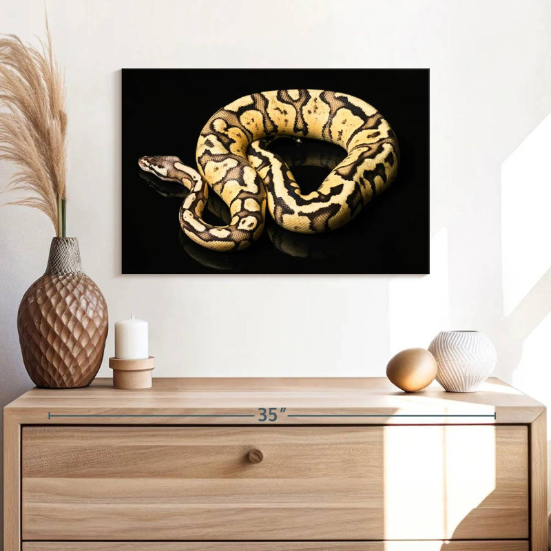 Brampt Female Python Snake, 16" H x 24" W