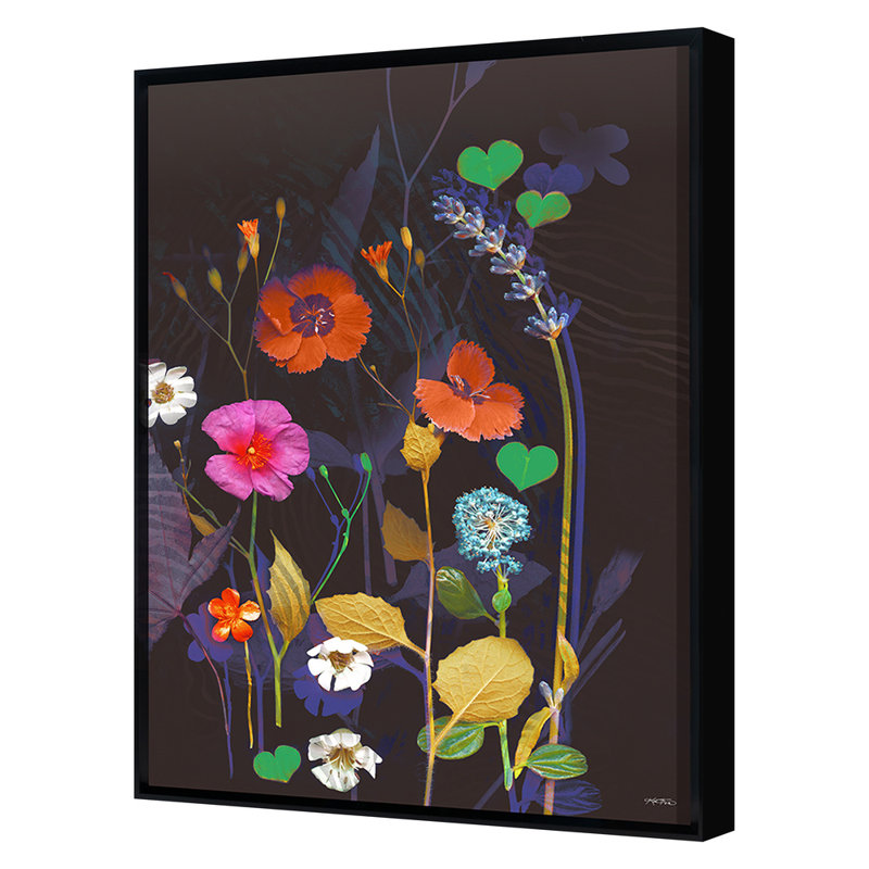 Wildflower Collection 3 Print by Katie Todaro, Black Frame Paper