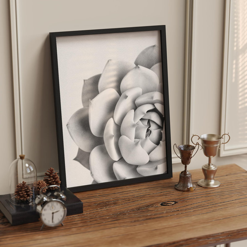 Noir et blanc, plante grasse, tranquillité, Illustration de la nature, petite œuvre d'art, Noir, H 14 po x l 11 po