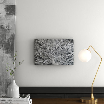 Karolis Janulis - Wrapped Canvas Print