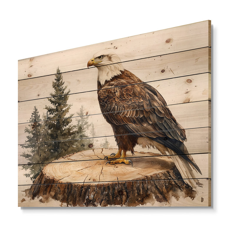 Vigile silencieuse aigle en été, H 24 po x l 32 po