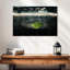 Full soccer arena Sireci