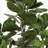 79'' Faux Fiddle Leaf Fig Tree in Ceramic Pot