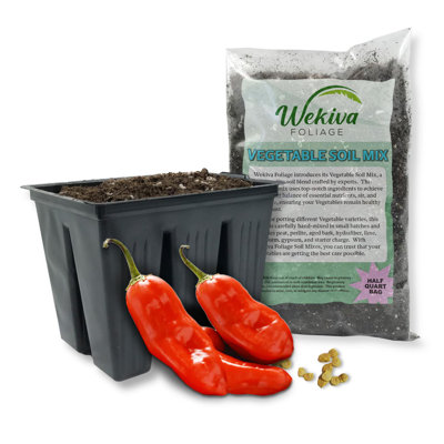 Aji Rico Pepper Seed Starter Kit - Pepper Seeds with Liner Tray and Half Quart Vegetable Soil Mix - Grow Your Own Vegetables