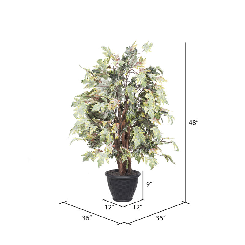 Artificial Frosted Maple Extra Full Series, Gray