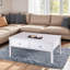 Cintron Solid Wood Coffee Table with Storage