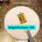Baillons Mirror-853654951