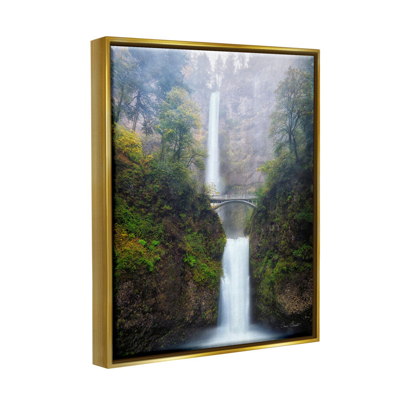 Photographie de cascade de pont sur bois par David Drost, H 31 po x l 25 po x P 1,7 po, Cadre flottant métallique doré