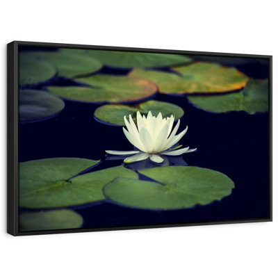 " Lotus And Leaves "
