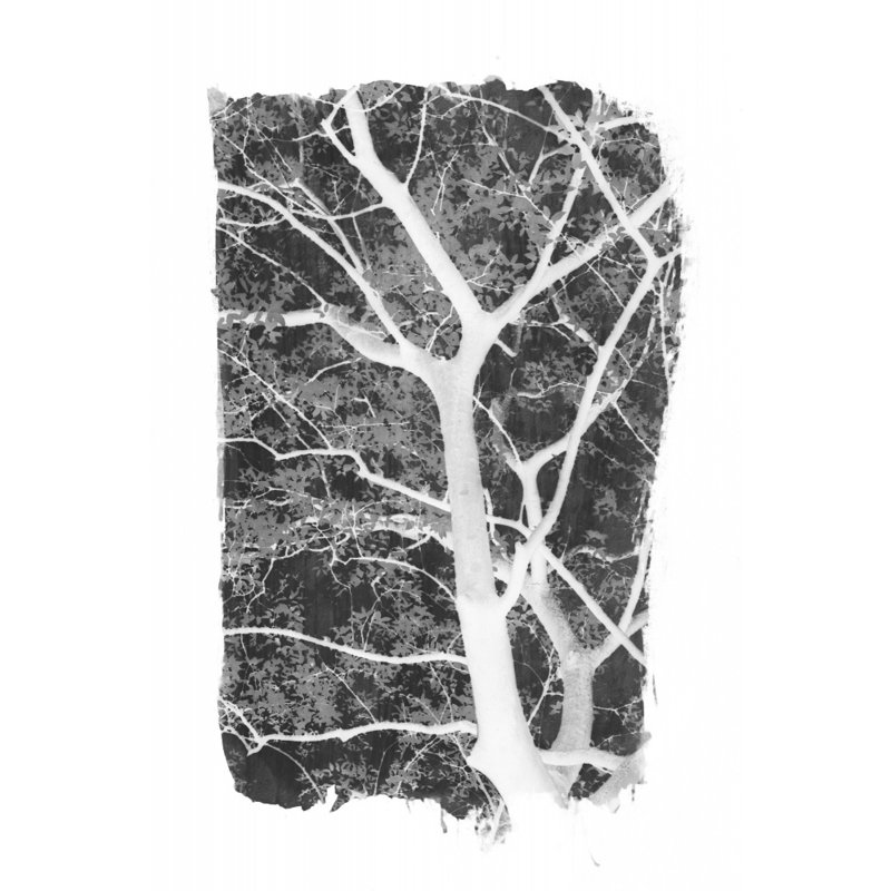 Wrapped Canvas Print, 50.8 cm H x 76.2 cm W
