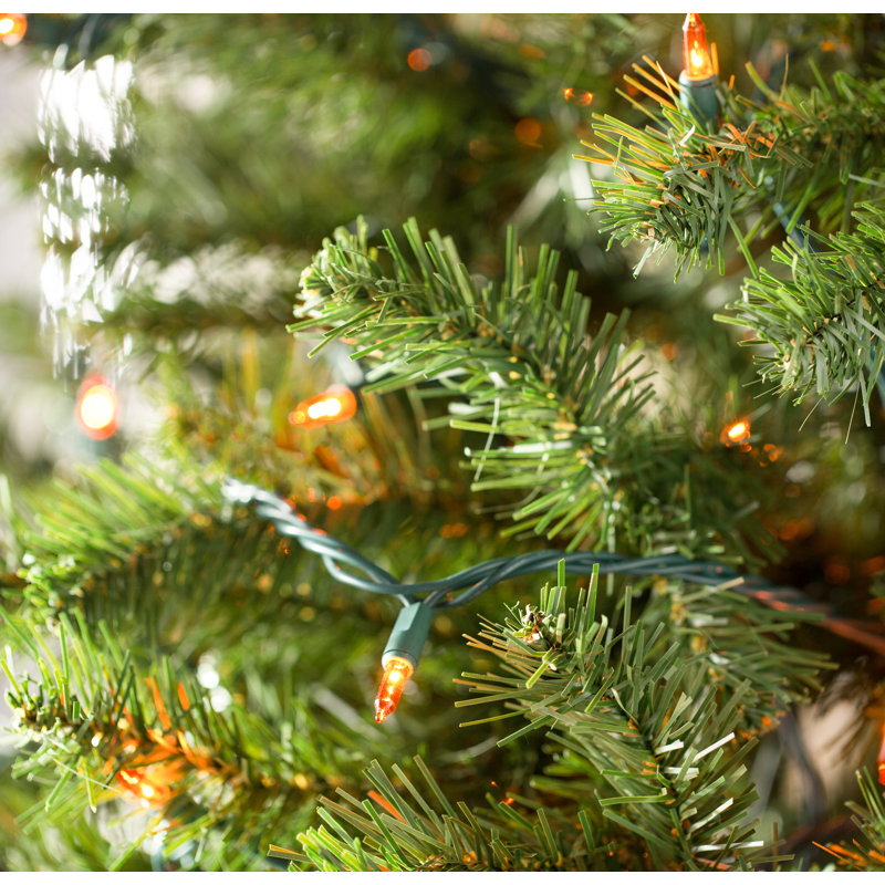 606'' String Lights, Amber