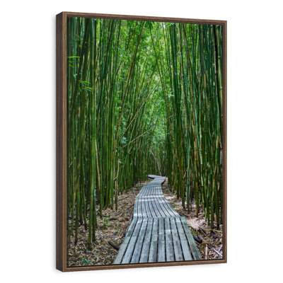 Hana Bamboo Forest